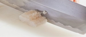 top_img001